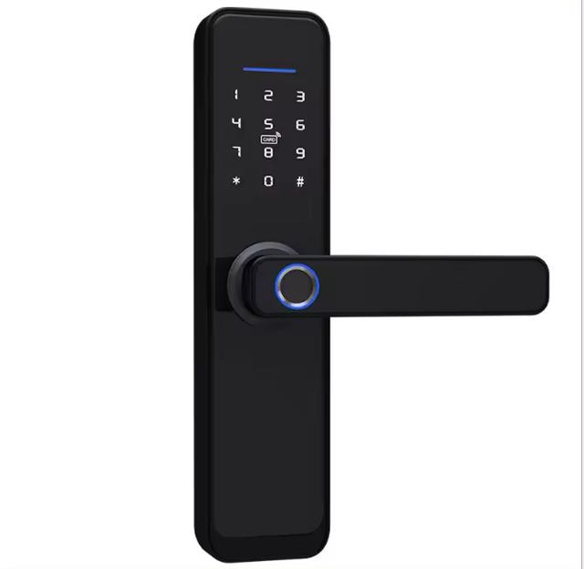 QLEUNG Smart lock S801X 300mm Length Tuya ttlock app Smart Wifi Door Lock Digital Fingerprint password Card Door Lock