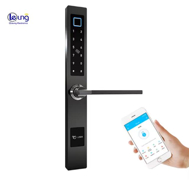 European mortise Wifi TTlock Fingerprint Passcode Card Door Lock