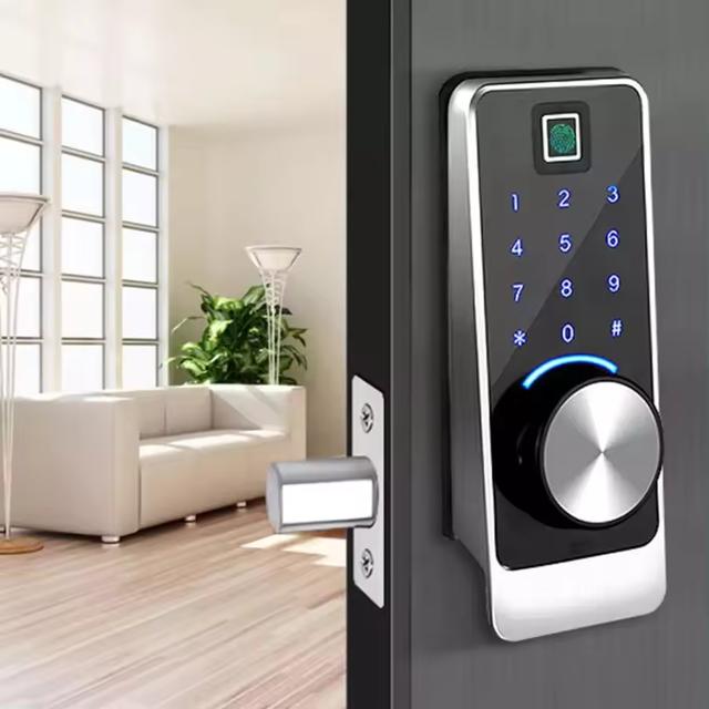 Hot Sale Smart Tuya Wifi Door Lock Home Remote Control Biometric Fingerprint TTlock European Style Passcode Card Door Locks