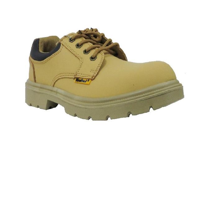 VAULTEX LNS / SBP